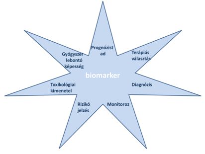 Bevezetes biomarker